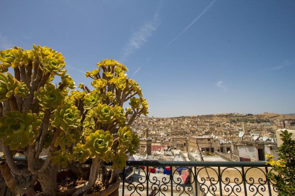 Riad La Source Bleue Fes Phòng bức ảnh